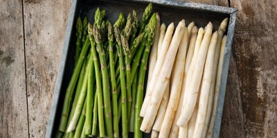 Bílý chřest se pěstuje zakrytý, chybí mu proto zelené barvivo chlorofyl