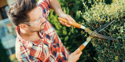 Veškeré stromky a keře, které chcete tvarovat, je potřeba v květnu zastřihnout
