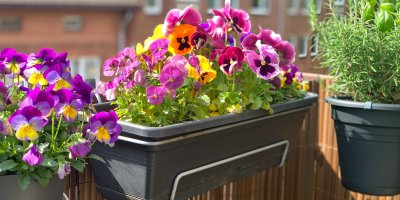 Truhlíky a květináče s květinami a bylinkami na balkoně