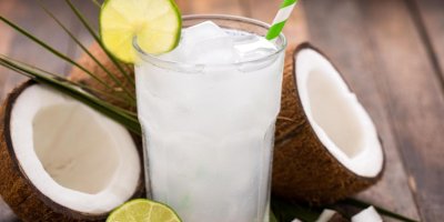 Opice v zajetí zažívají nejen ztrátu svobody, ale především fyzicky náročnou práci a nevlídné podmínky