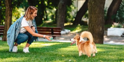 Pejsek bude mít z míčku radost