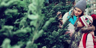 Jak je to s prodejem stromků na trzích? V pátek ministr Blatný potvrdil, že se smí prodávat vánoční zboží 