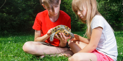 Želva je skvělým mazlíčkem, který toho ke spokojenému životu příliš nepotřebuje