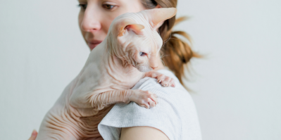 I kočičku či pejska si může alergik domů pořídit