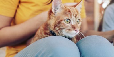 Někteří parazité se přenesou i na člověka.