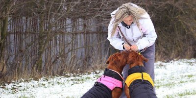 Odčervování se nesmí zanedbávat.