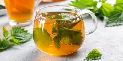 Šálek čaje z kopřiv