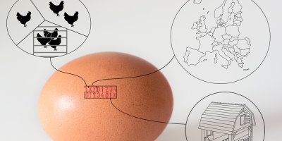 Vejce s kódem a infografika