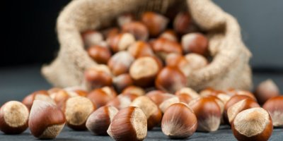 Lískové oříšky léčí ledvinové kameny.