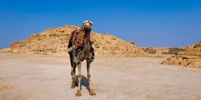 Egypt je vyhledávanou destinací.