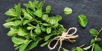 Máta je velice zdravá.