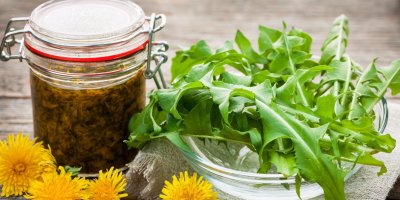 Pampelišku lze využít k nejrůznějším účelům – ať už v kuchyni nebo domácí lékárně.