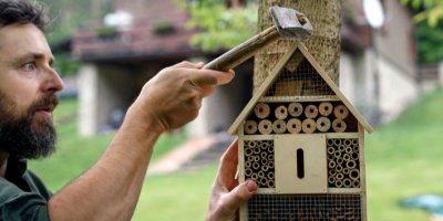Muž přitlouká hmyzí hotel