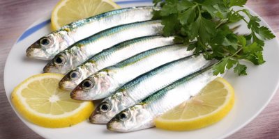 Teď se budete na sardinky dívat možná trochu jinak!