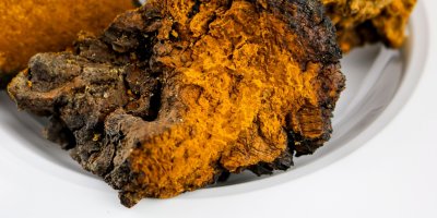 Čaga je velice zdravá, i když nevypadá zrovna vábně.