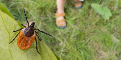 Vyhnout se číhajícímu nebezpečí úplně nejde, proto je vhodné zaměřit se na ochranu.