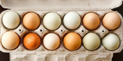 Slepičí vejce obsahují řadu prospěšných látek.