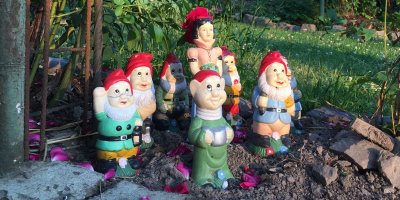 Zahradní trpaslíci z keramiky doprovázení Sněhurkou na zahrádce