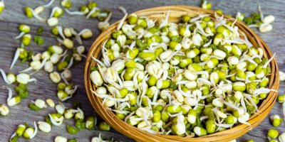 Naklíčené mungo fazole v misce