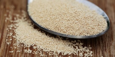 Výhodou sušeného neboli instantního droždí je jeho delší trvanlivost a snadné použití bez přípravy kvásku.