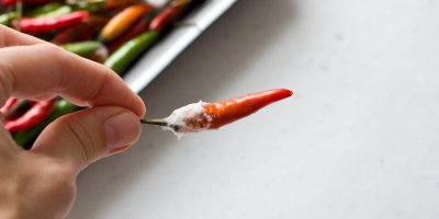 Plísně se šíří rychle.