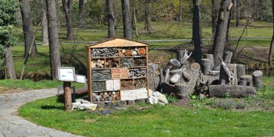 Botanická zahrada v Olomouci děti mnohé naučí.
