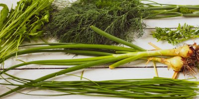 Různé bylinky na stole