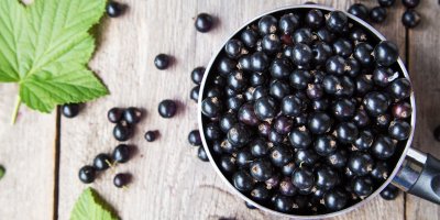 Zdravý nálev z rybízu zažene i chřipku.