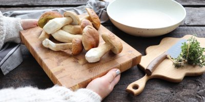 Čerstvé houby vyskládané na talíři