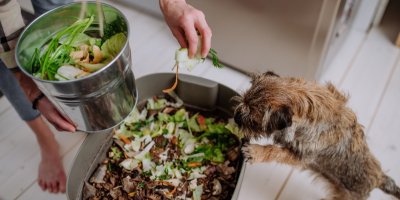 Žena hrne zbytky z nakrájené zeleniny z prkénka do domácího kompostéru