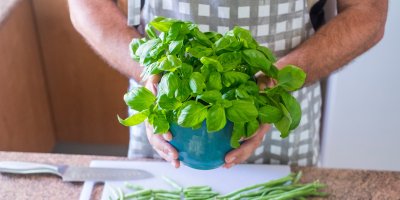 Muž v zástěře drží květináč s bazalkou
