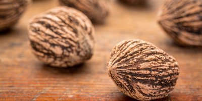 Detail na černé vlašské ořechy