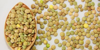 Zelená čočka na stole a ve vařečce