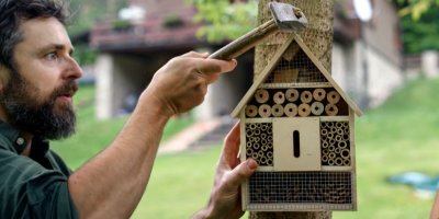 Muž přibíjí kladivem na strom hmyzí hotel 