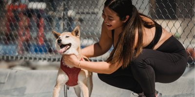 Běžkyně obléká psa do postroje