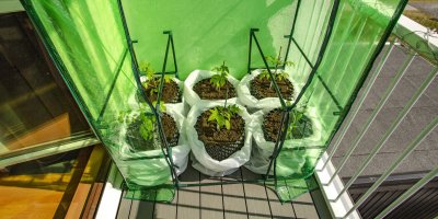 Skleník s rostlinami na balkoně