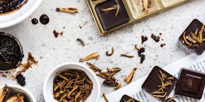 Příprava domácí čokolády s červíky