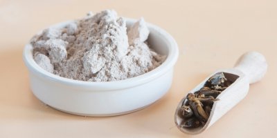 V misce je cvrččí mouka a v naběračce jsou cvrčci