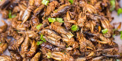 Smažení cvrčci s jarní cibulkou