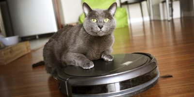 Kočka leží na robotickém vysavači