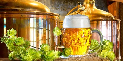 Detail na pivo a chmel, v pozadí výroba piva