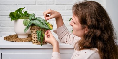 Žena drží uschlé listy