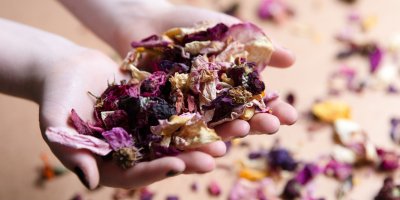 Ruce drží rozdrobené sušené květy