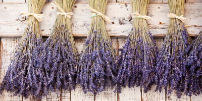 Sušené kytice levandulí