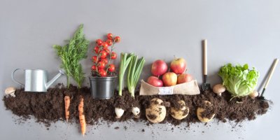 Různá plodová zelenina umístěná v hlíně