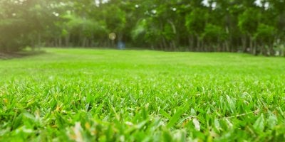 Pohled na zdravý, upravený, zářivě zelený trávník