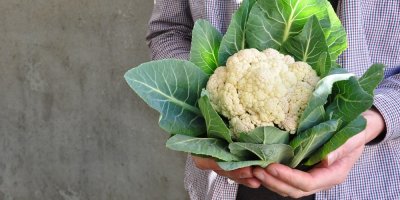 Muž drží květák v rukou