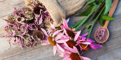 Látkový pytlík a lžička se sušenou echinaceou a její květy