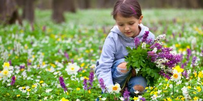 Dívka sbírající květiny na louce