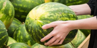 Ruce drží celý meloun